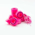 Skate Refresh Pack - Rio Coaster Pink