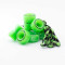 Skate Refresh Pack - Rio Coaster Package