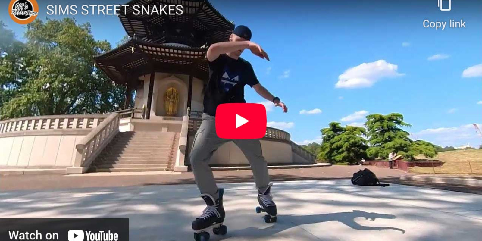 Sims Street snakes (video)